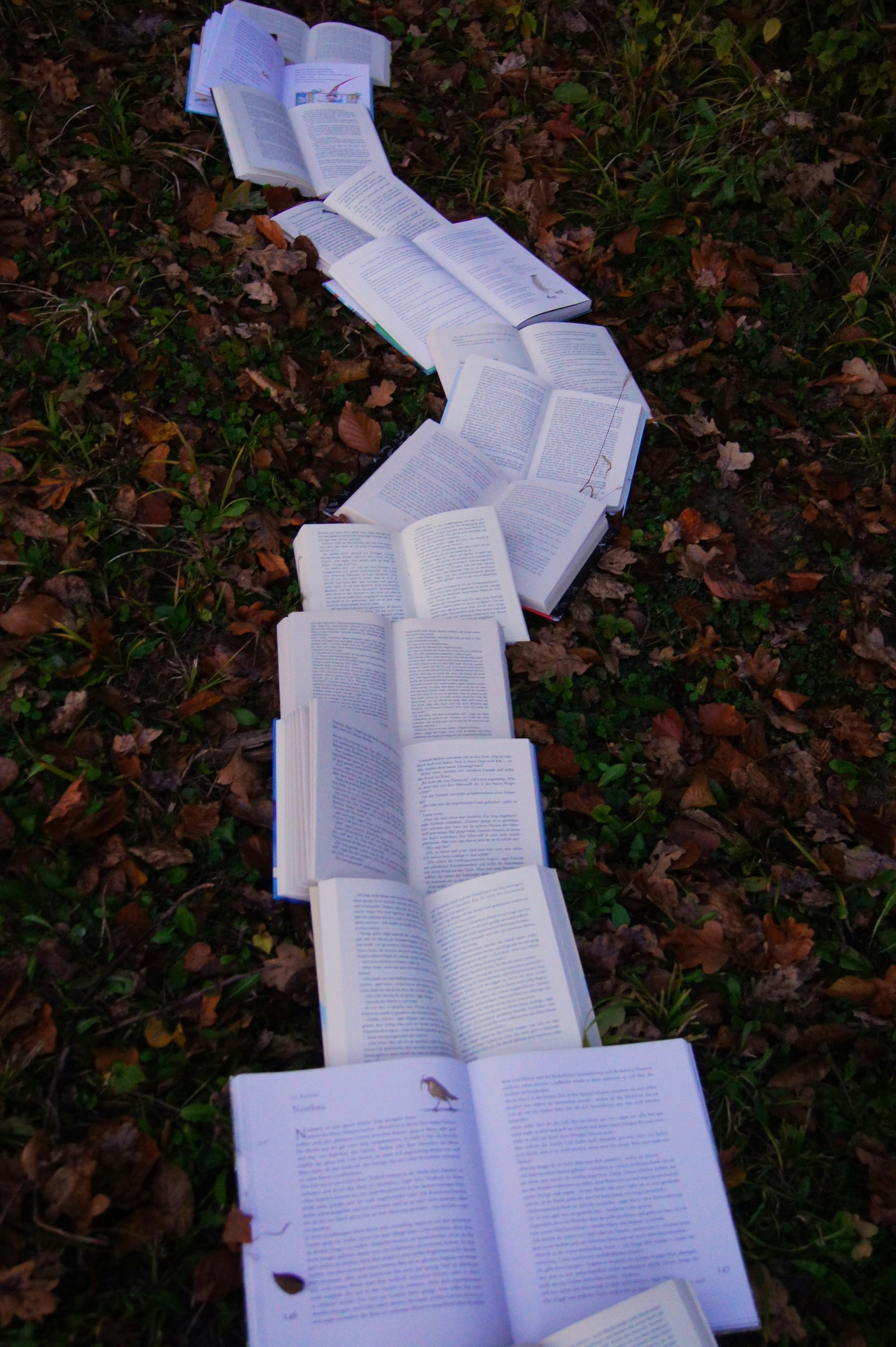 Founding Story Image